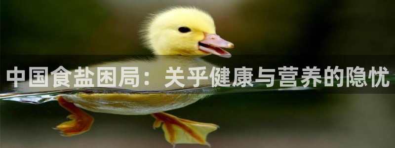 保定威九网络科技有限公司怎么样