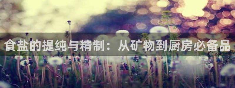 威九国际正规吗