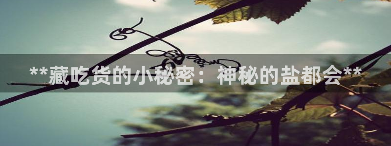 威九国际最受欢迎的功能