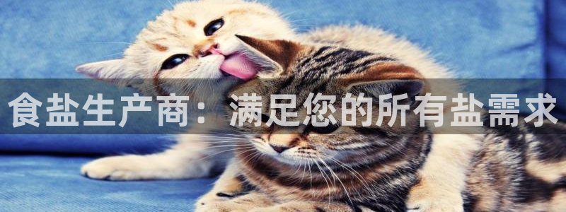 威九国际体育app下载
