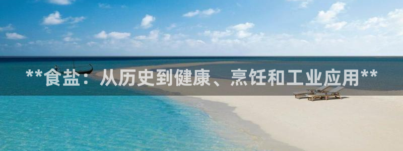 威九国际官网登录入口网站