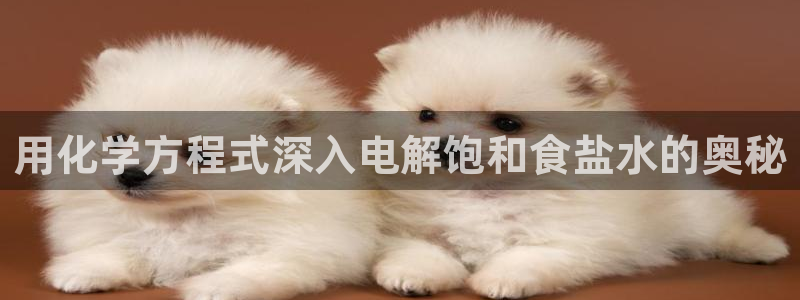 威九国际v8