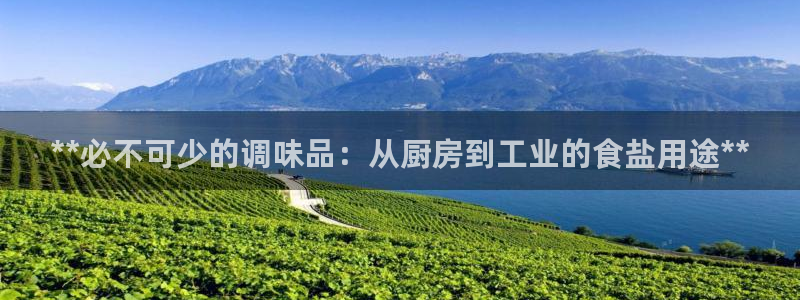 威九国际旗下艺人都有谁