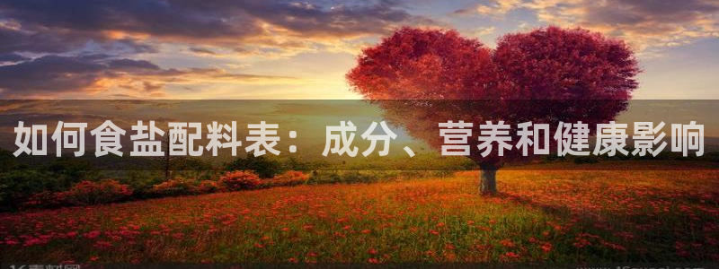 威九国际A