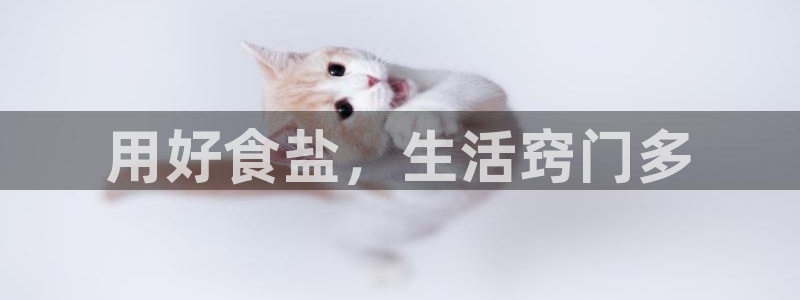 威九国际78mb下