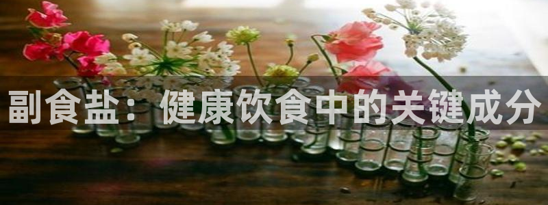 威九国际旗下艺人