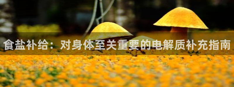 威九国际官方入口官网