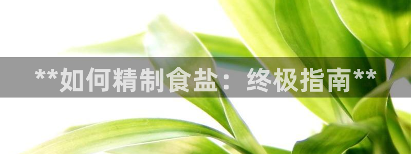 威九国际精彩推荐怎么样