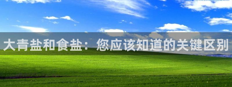威九国际全国空降