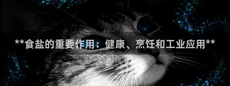 威九国际女