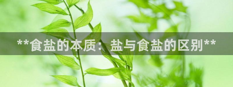 威九国际网站入囗