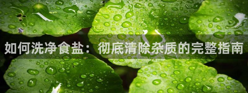 威九国际网站是多少
