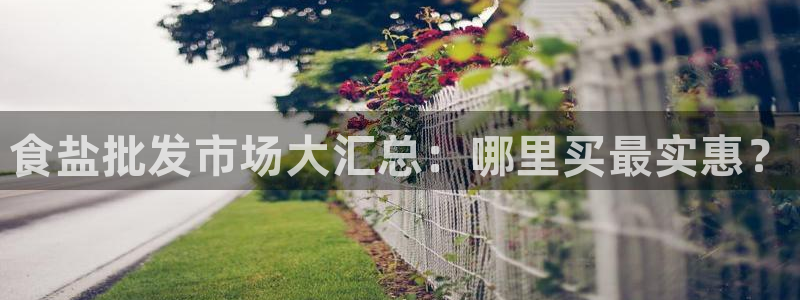 威九国际AN