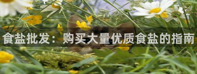 威九国际m78
