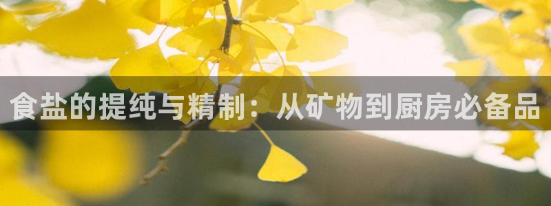 威九国际客服电话