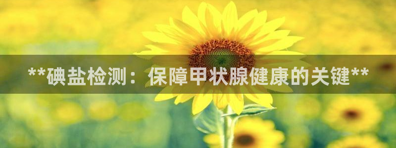 威九国际66m