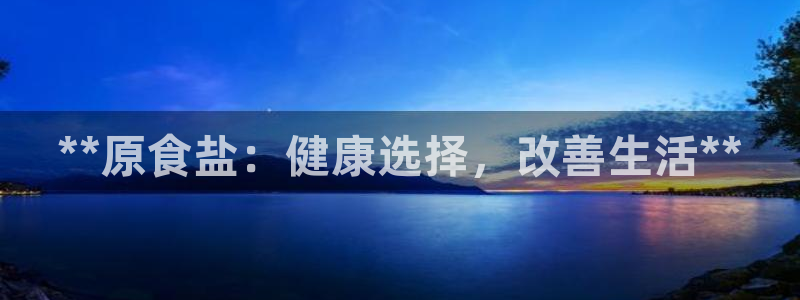 威九国际PPT