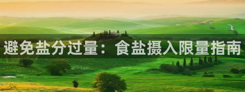 66m威九国际精选