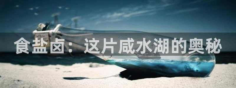 威九国际最受欢迎的功能