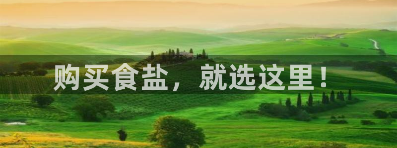 威九国际官方网站