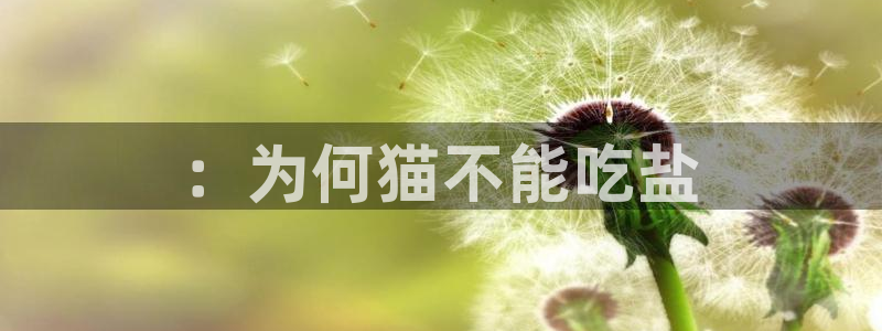威九国际网站入口官网免费下载