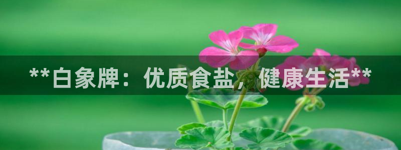 威九code6070
