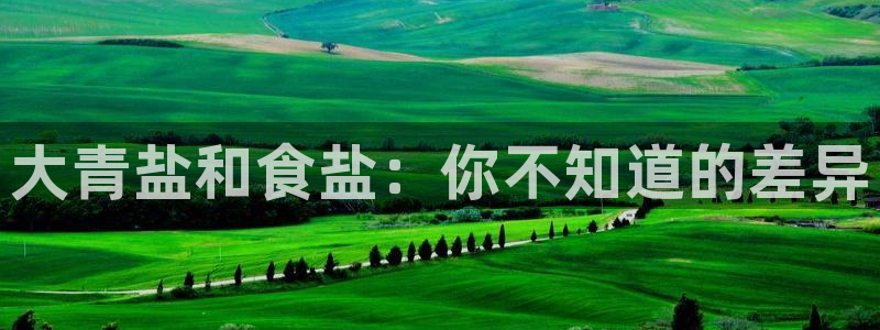 威九国际最受欢迎的功能