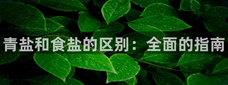 威九国际的女主