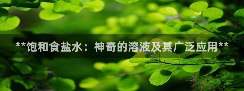 威九国际网站
