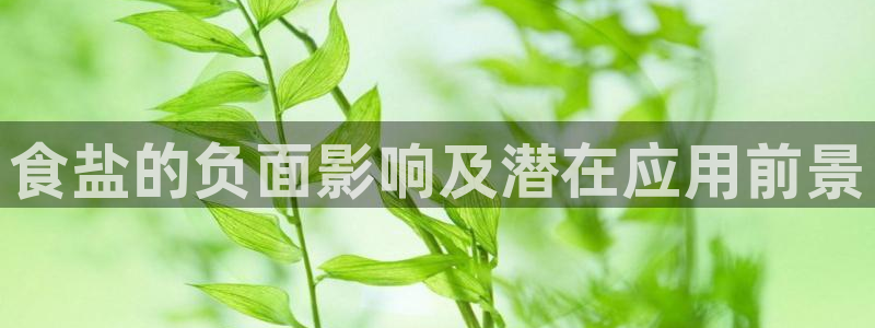 威九国际的女主