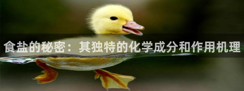 威九国际网站经常打不开
