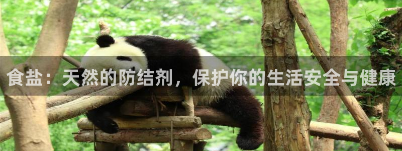 威九国际游戏app(网站)