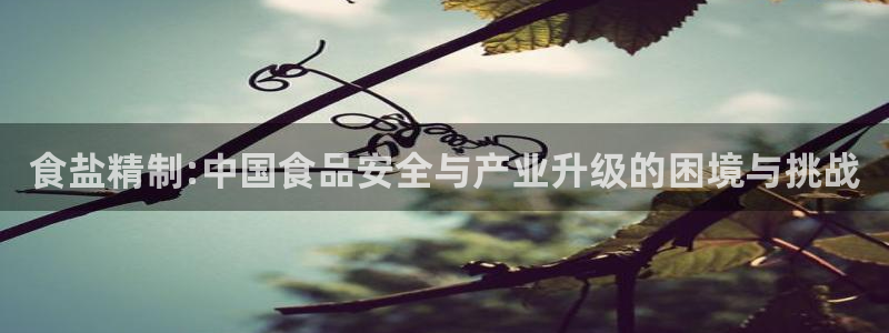 保定威九网络科技有限公司怎么样