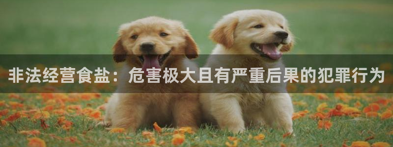 威九国际APP客服