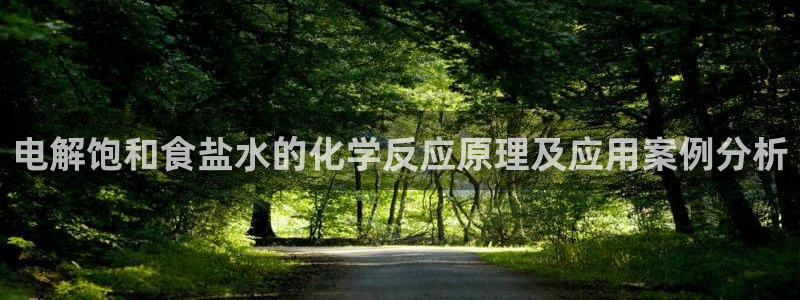 威九国际top