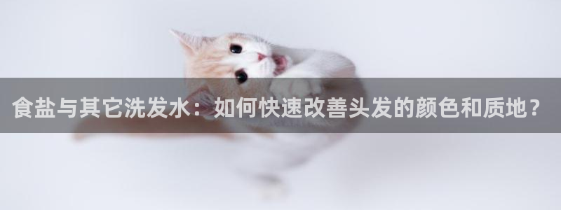 威九国际在哪里