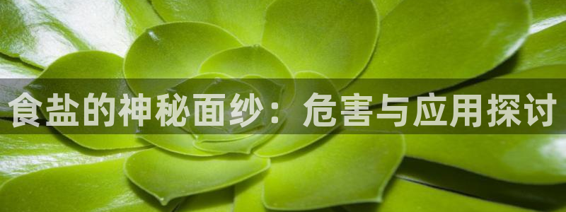 威九国际78mb玩法