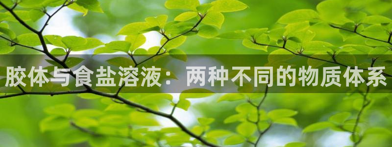 威九国际v8