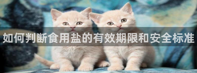 威九国际新