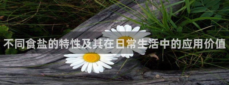威九国际66在线