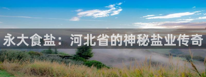 威九国际精选