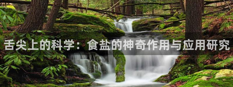 威九国际旗下艺人有谁