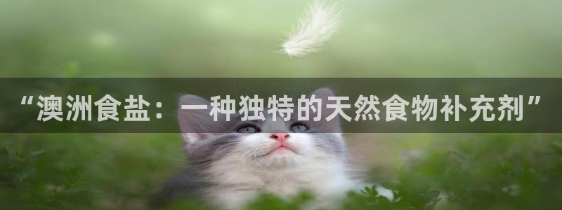 威九国际Sxsx