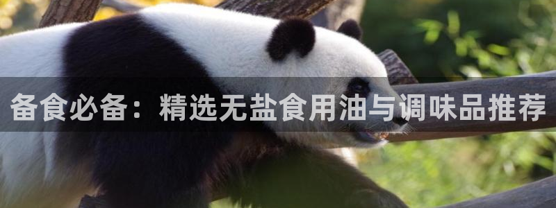 威九国际客服电话号码