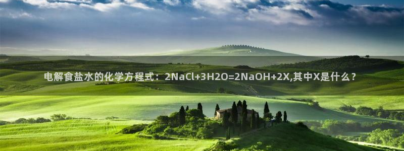 威九国际成长模式