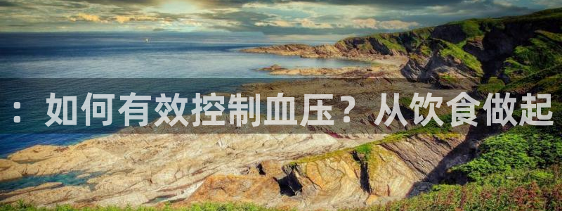 威九国际人民网招聘