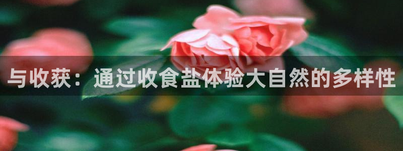 威九国际能提现吗是真的吗