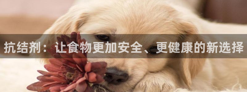 威九国际客服电话