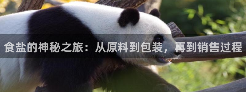 威九国际清砖码头在哪