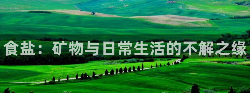 威九国际免费版